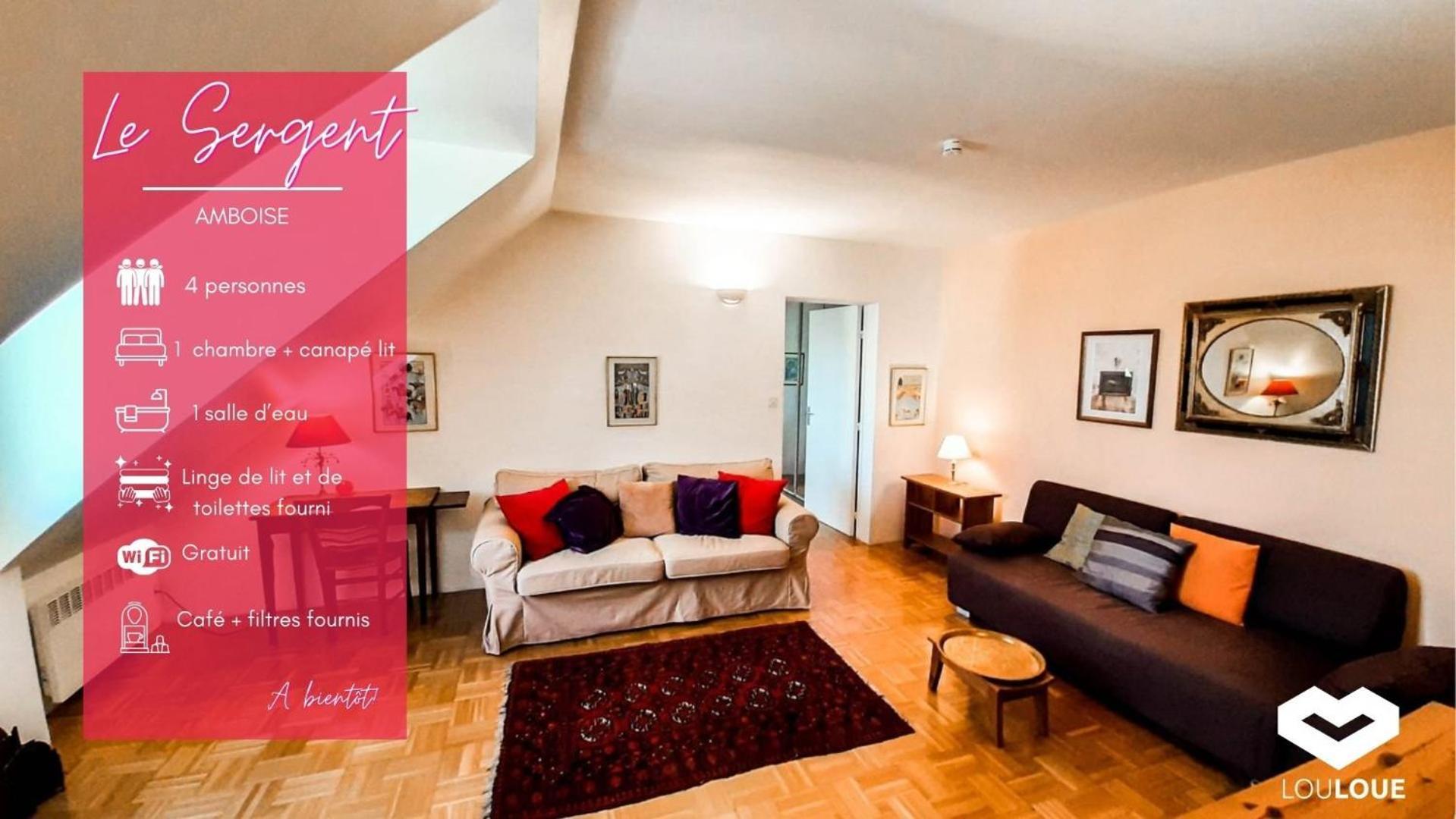 Spacious T2 Apt In City Center. Αμπουάζ Εξωτερικό φωτογραφία